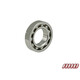 Rear Ball Bearing Ø14,5x26x6mm - 11 steel balls  (1)
