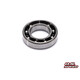 Bagerst kugle leje  21V-Spec, 28XZ, 30VG, 21XR-B Ver.3 (1)