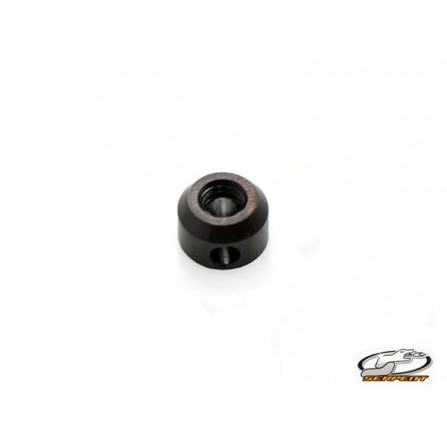 Diff adjust nut F110 (1)